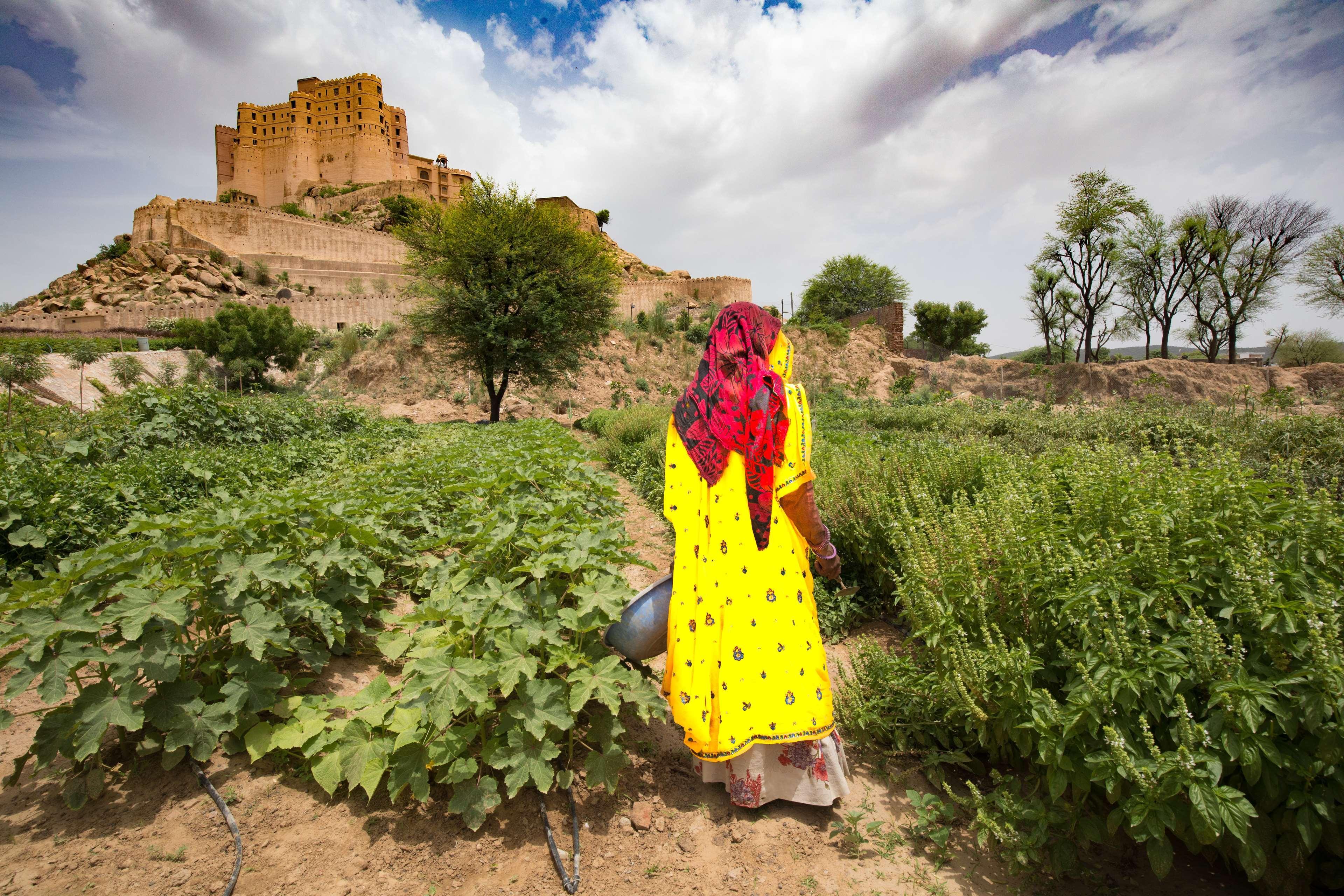 Alila Fort Bishangarh Jaipur - A Hyatt Brand Buitenkant foto